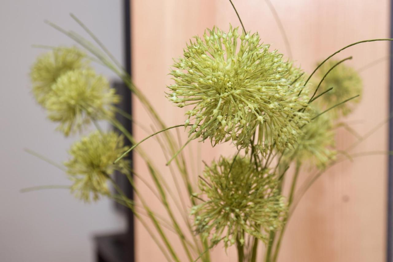 Apartman Buongiorno Jajce Luaran gambar